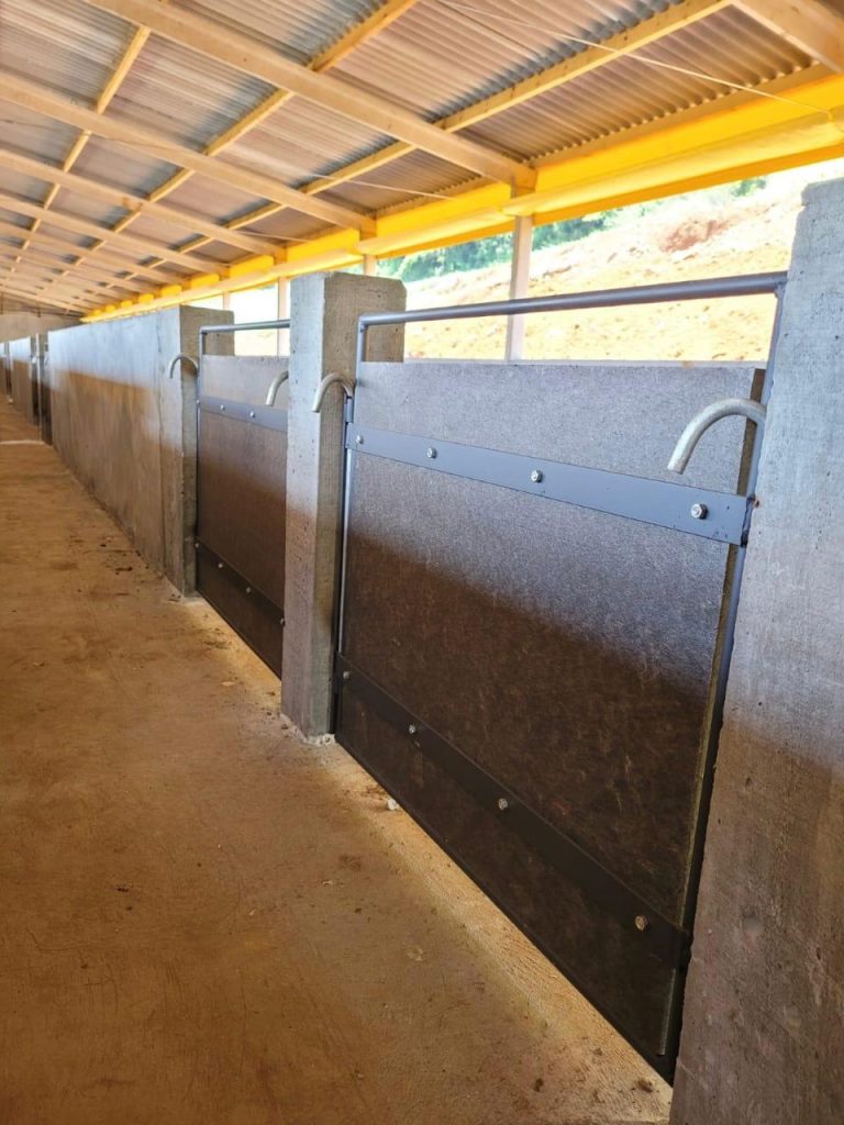 Porta 3