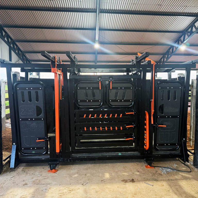 Tronco para manejo de gado