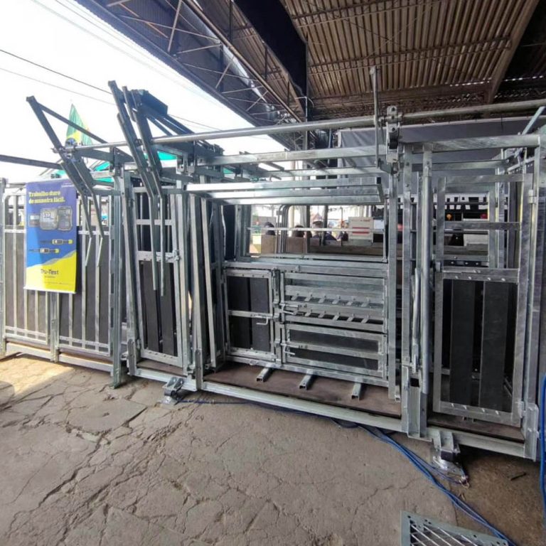 Tronco para manejo de gado